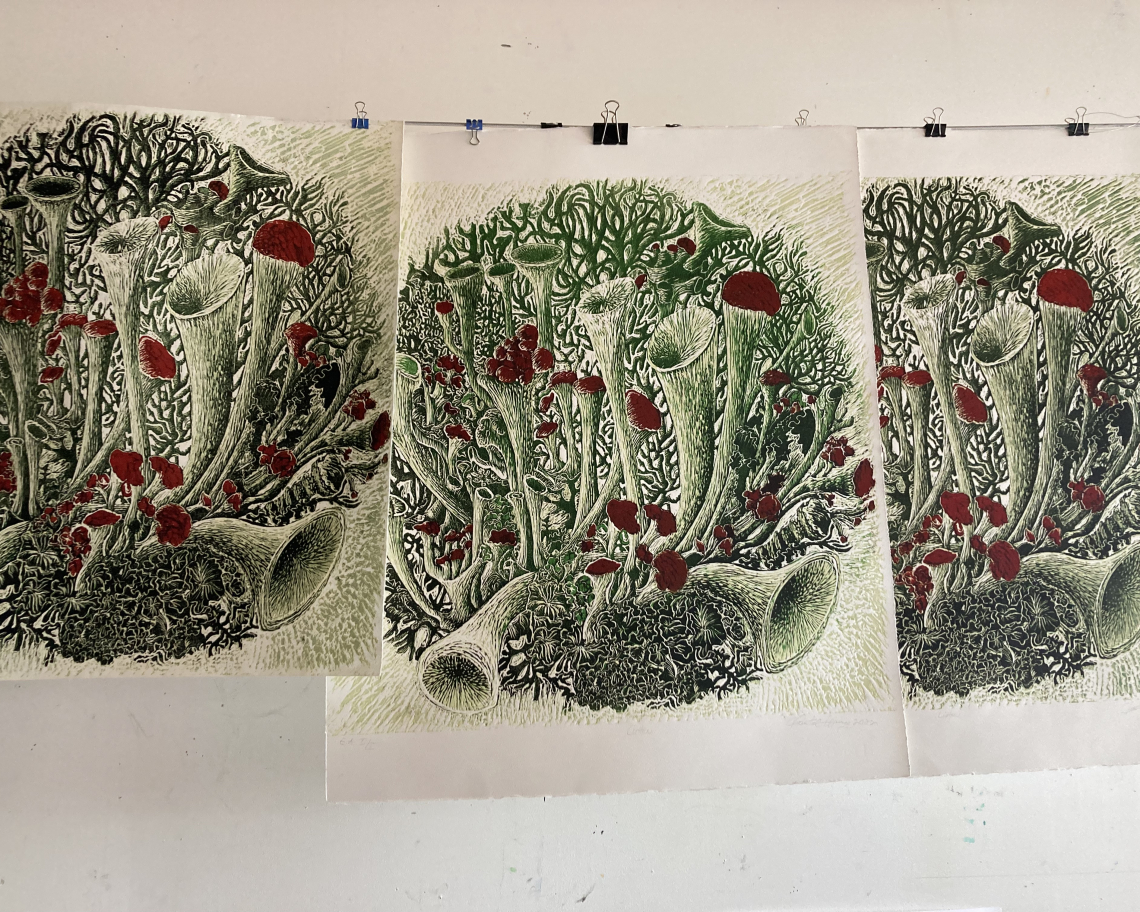 Copies of an engraving representing lichens hang from a line, help with paperclips