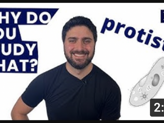 video thumbnail with the text "why do you study that" on the left, a photo of Dr. Jean Philippe Gibert in the middle, the word "protists" on the right, on top of a drawing of a cell. 