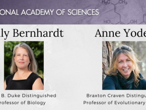 Collage of Emily Bernhardt and Anne Yoder's Headshots with a banner containing the logo of the National Academy of Sciences