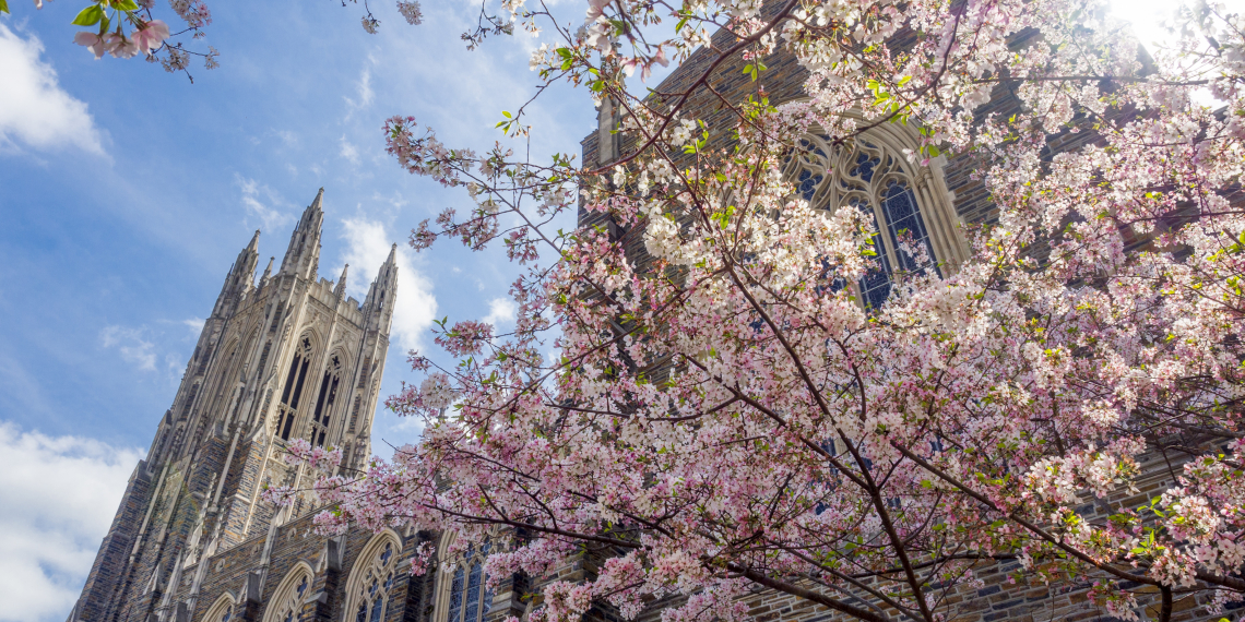 photo of Duke Chapel with a cherry tree in bloom on the foreground
