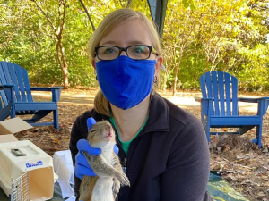 Evolutionary Anthropology Postdoc on Squirrel Brains and Bloodstreams