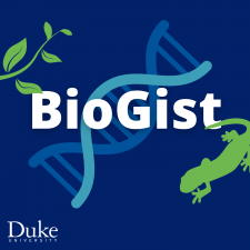 Logo saying Bio Gist overlaid on a double helix, with a green salamander and green vines.